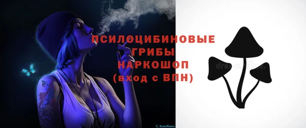 амф Богородицк