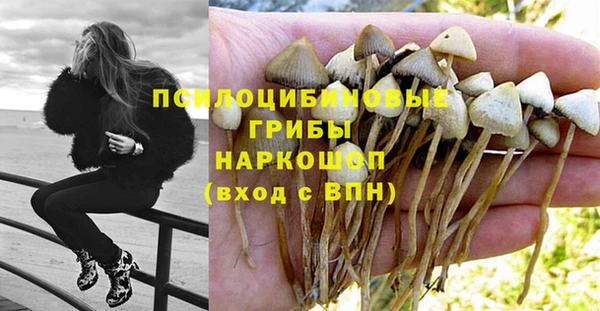 ALPHA-PVP Богородск