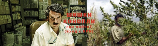 амф Богородицк