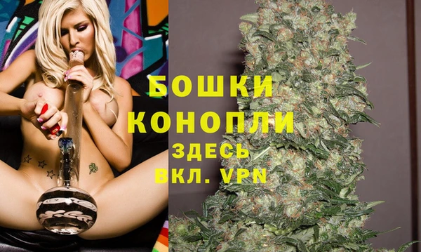 амф Богородицк